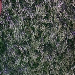 Meet your Posher, Theresa